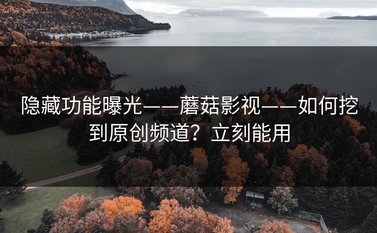 隐藏功能曝光——蘑菇影视——如何挖到原创频道？立刻能用