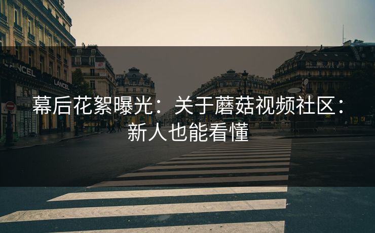 幕后花絮曝光：关于蘑菇视频社区：新人也能看懂
