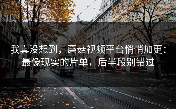 我真没想到，蘑菇视频平台悄悄加更：最像现实的片单，后半段别错过