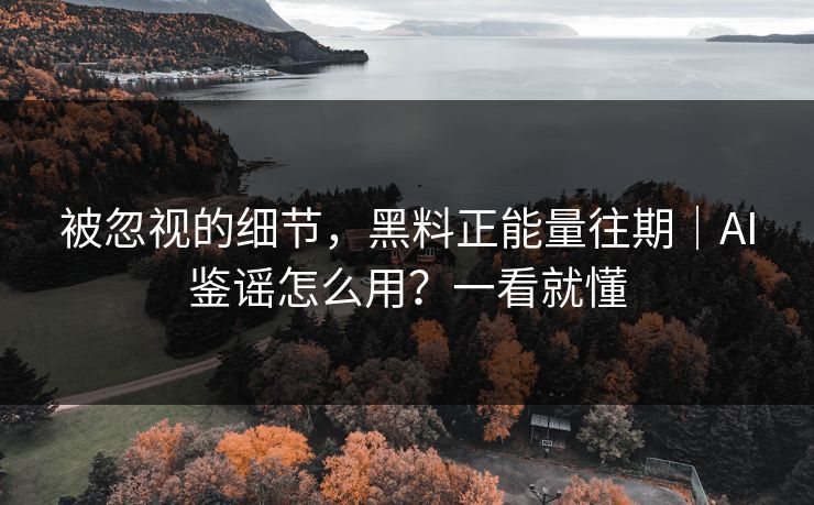 被忽视的细节，黑料正能量往期｜AI鉴谣怎么用？一看就懂