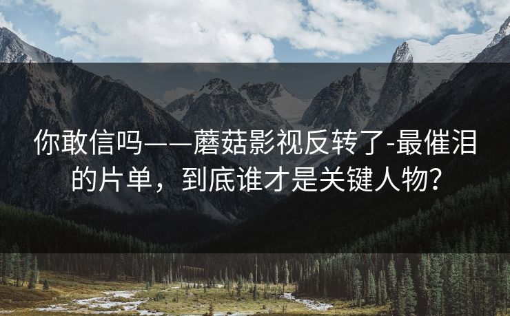 你敢信吗——蘑菇影视反转了-最催泪的片单，到底谁才是关键人物？