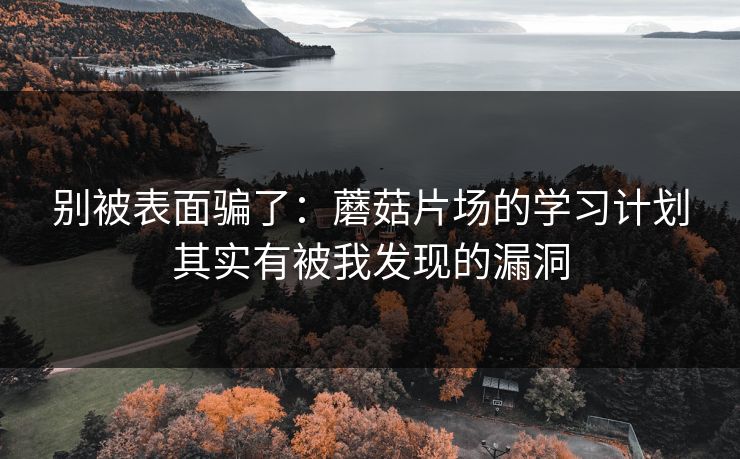 别被表面骗了：蘑菇片场的学习计划其实有被我发现的漏洞