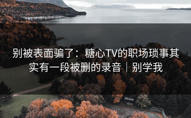 别被表面骗了：糖心TV的职场琐事其实有一段被删的录音｜别学我