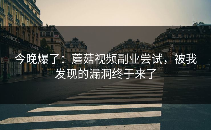 今晚爆了：蘑菇视频副业尝试，被我发现的漏洞终于来了