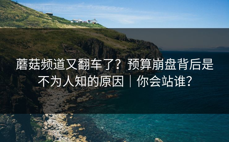 蘑菇频道又翻车了？预算崩盘背后是不为人知的原因｜你会站谁？