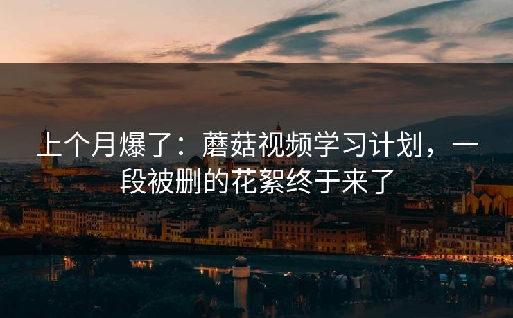 上个月爆了：蘑菇视频学习计划，一段被删的花絮终于来了